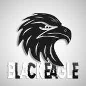 BlackEagle CTF