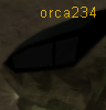 orca234